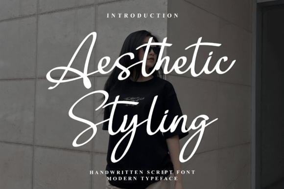 Aesthetic Styling Font for Premium Brand Identity
