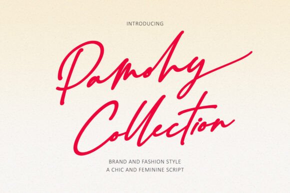 Pamohy Collection: A Chic Script Font for Modern Branding