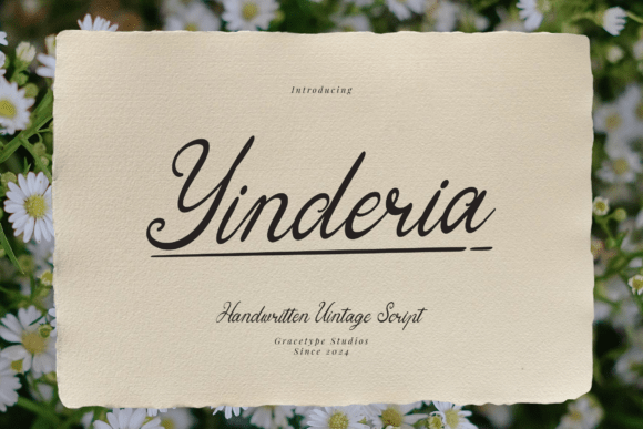 Yinderia: A Vintage Script Font for Elegant Campaigns